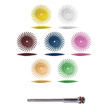 Radials Photo