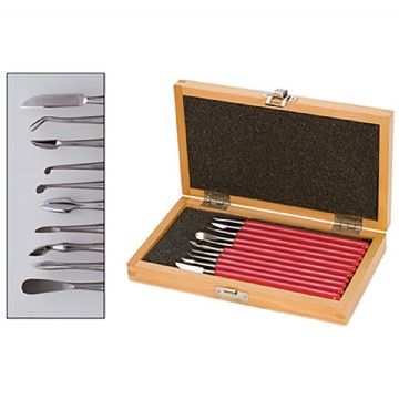 Deluxe 10pc Carver Set with Box Photo